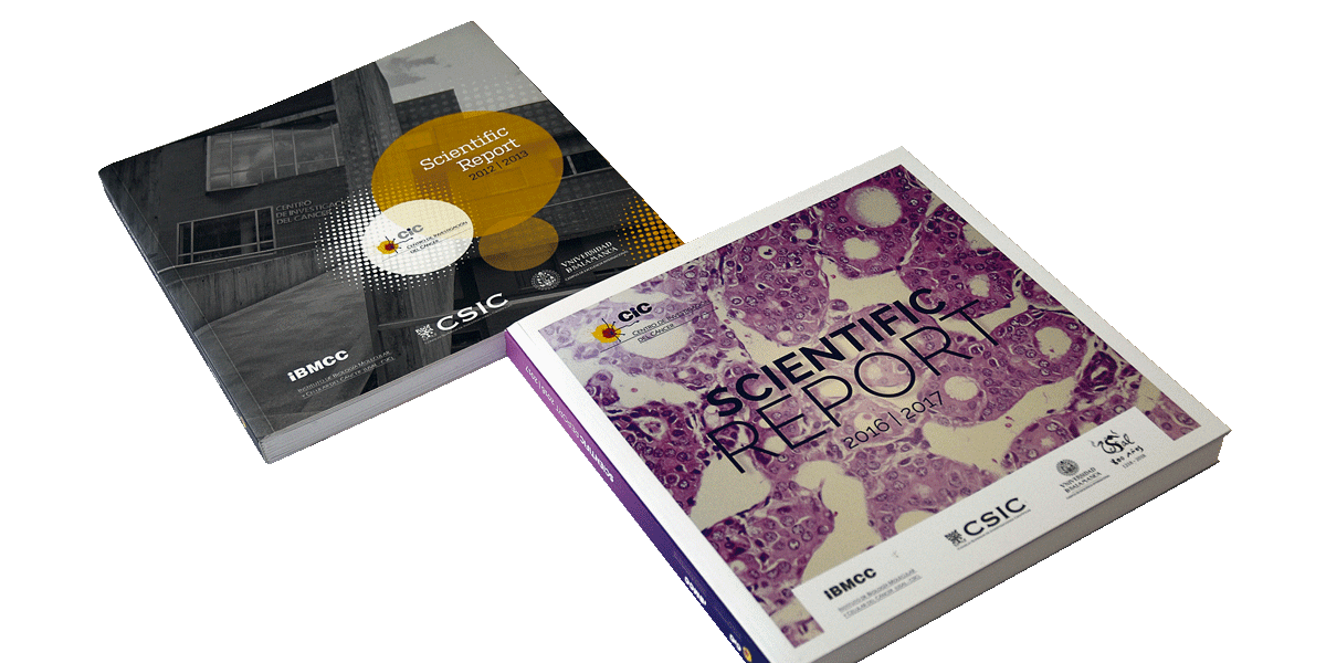 Portadas «Scientific Report 2012|2013» | «Scientific Report 2016|2017»